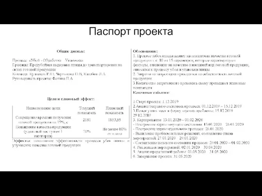 Паспорт проекта