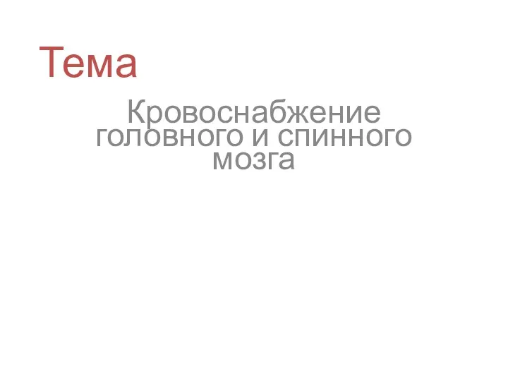 Тема Кровоснабжение головного и спинного мозга