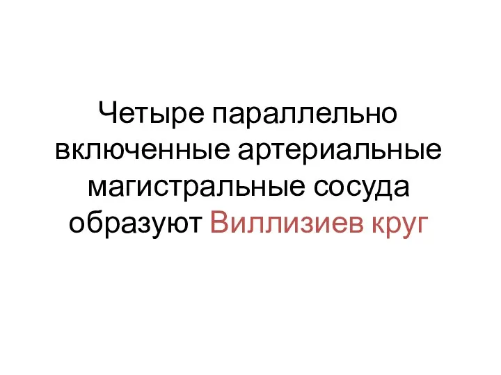 Четыре параллельно включенные артериальные магистральные сосуда образуют Виллизиев круг