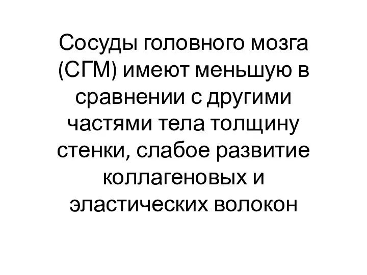 Сосуды головного мозга (СГМ) имеют меньшую в сравнении с другими