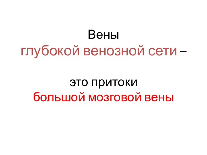 Вены глубокой венозной сети – это притоки большой мозговой вены