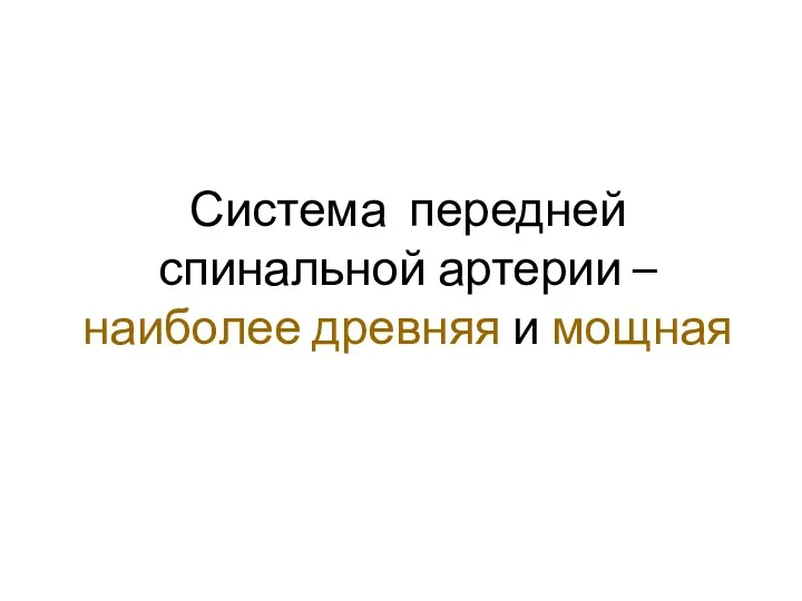 Система передней спинальной артерии – наиболее древняя и мощная