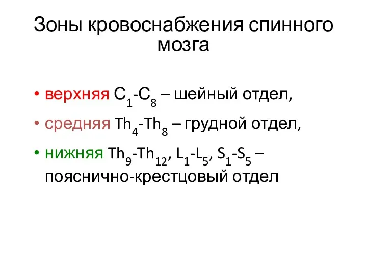 Зоны кровоснабжения спинного мозга верхняя С1-С8 – шейный отдел, средняя