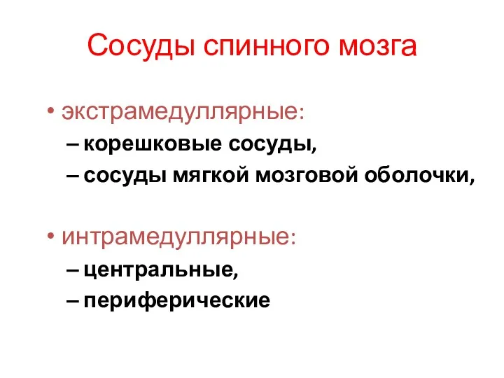 Сосуды спинного мозга экстрамедуллярные: корешковые сосуды, сосуды мягкой мозговой оболочки, интрамедуллярные: центральные, периферические