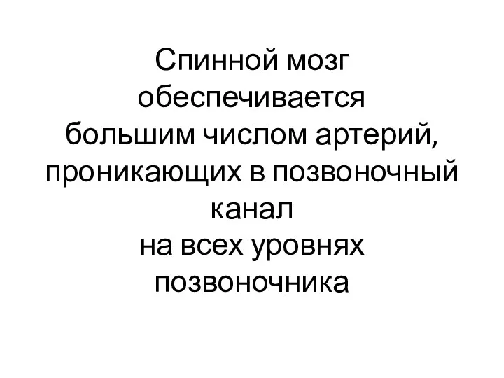 Спинной мозг обеспечивается большим числом артерий, проникающих в позвоночный канал на всех уровнях позвоночника