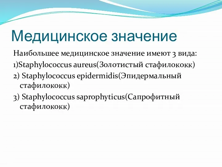 Медицинское значение Наибольшее медицинское значение имеют 3 вида: 1)Staphylococcus aureus(Золотистый