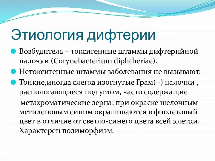 Этиология дифтерии Возбудитель – токсигенные штаммы дифтерийной палочки (Corynebacterium diphtheriae).