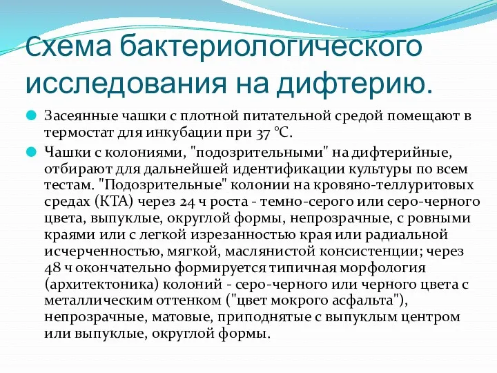 Cхема бактериологического исследования на дифтерию. Засеянные чашки с плотной питательной