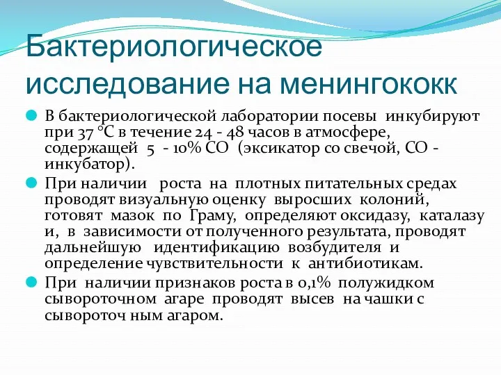 Бактериологическое исследование на менингококк В бактериологической лаборатории посевы инкубируют при