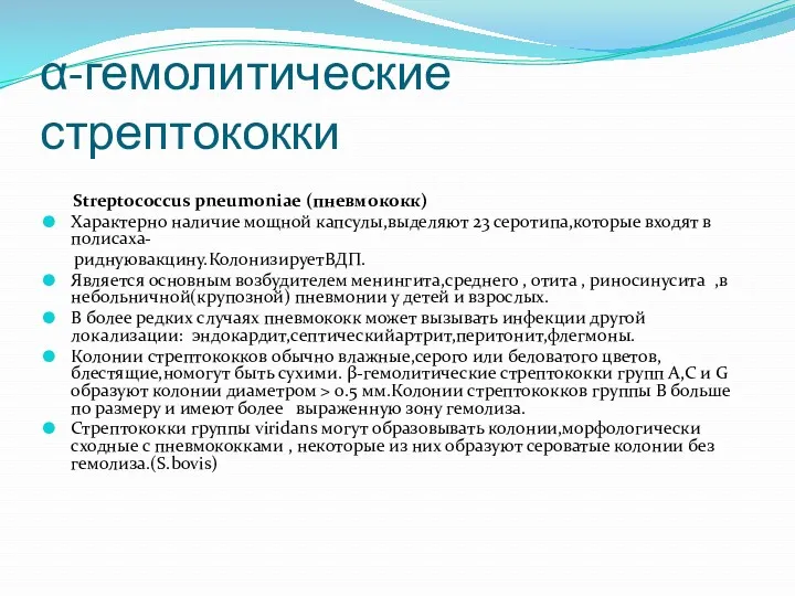 α-гемолитические стрептококки Streptococcus pneumoniaе (пневмококк) Характерно наличие мощной капсулы,выделяют 23