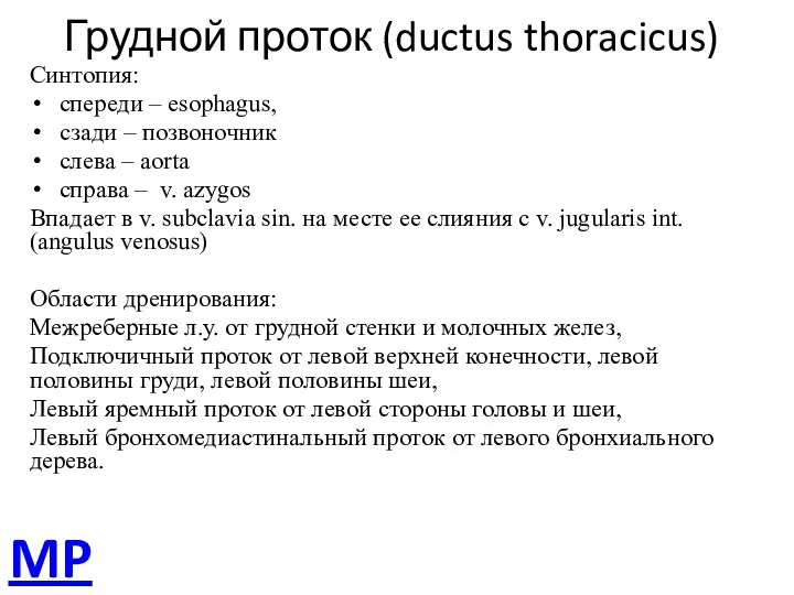 Грудной проток (ductus thoracicus) Синтопия: спереди – esophagus, сзади –