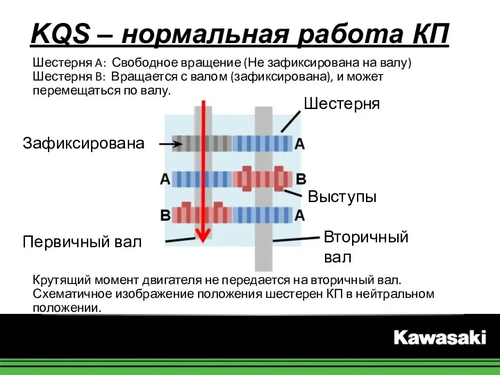 Шестерня A: Свободное вращение (Не зафиксирована на валу) Шестерня B: