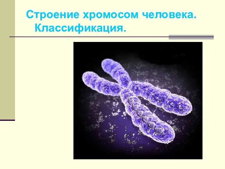 Строение хромосом человека. Классификация.