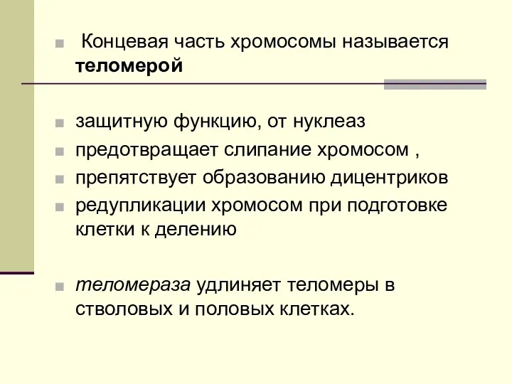 Концевая часть хромосомы называется теломерой защитную функцию, от нуклеаз предотвращает