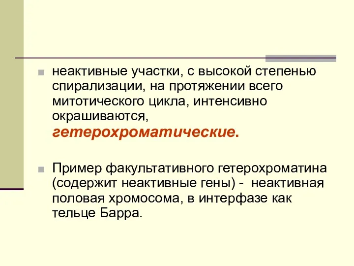 неактивные участки, с высокой степенью спирализации, на протяжении всего митотического