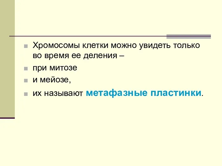 Хромосомы клетки можно увидеть только во время ее деления –