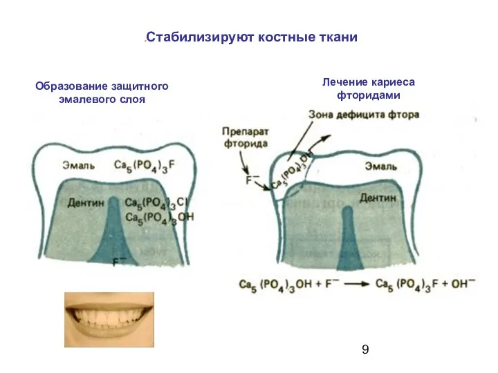 Образование защитного эмалевого слоя Лечение кариеса фторидами Стабилизируют костные ткани