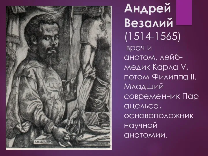Андрей Везалий (1514-1565) врач и анатом, лейб-медик Карла V, потом