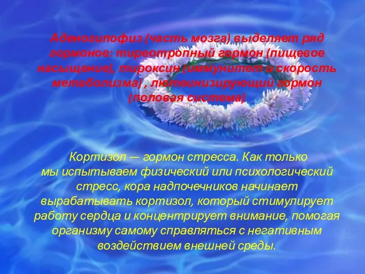 Аденогипофиз (часть мозга) выделяет ряд гормонов: тиреотропный гормон (пищевое насыщение),