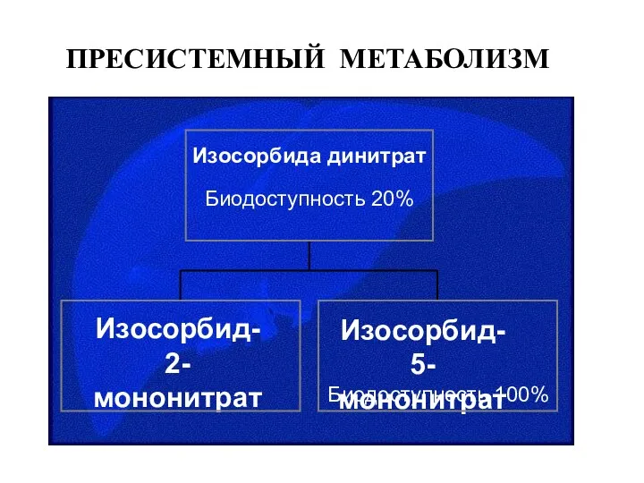 ПРЕСИСТЕМНЫЙ МЕТАБОЛИЗМ