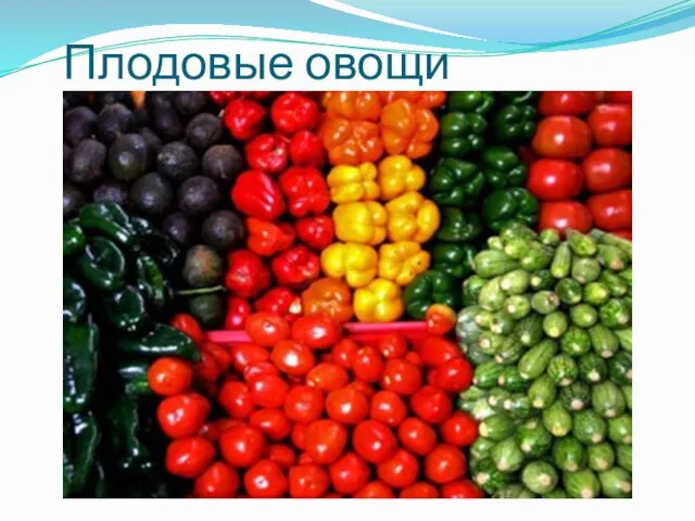 Плодовые овощи
