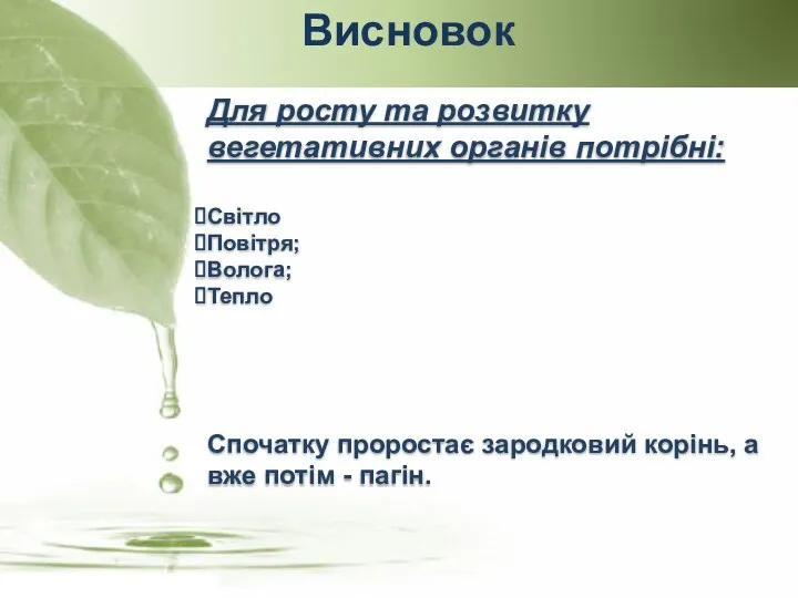 Висновок Для росту та розвитку вегетативних органів потрібні: Світло Повітря;