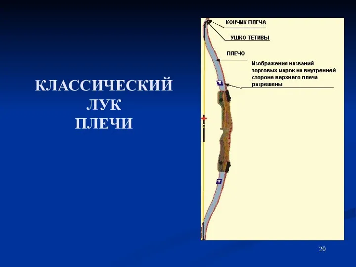 КЛАССИЧЕСКИЙ ЛУК ПЛЕЧИ Tip Limb Trademarks on the inside of the upper limb are permitted.