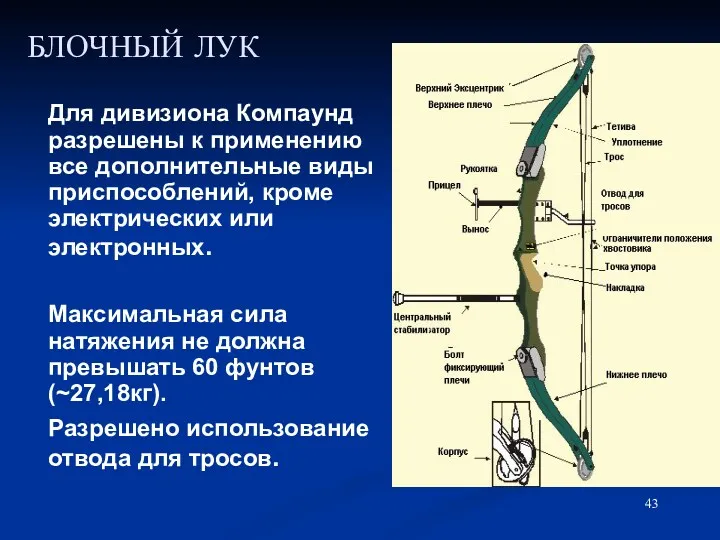 БЛОЧНЫЙ ЛУК Для дивизиона Компаунд разрешены к применению все дополнительные