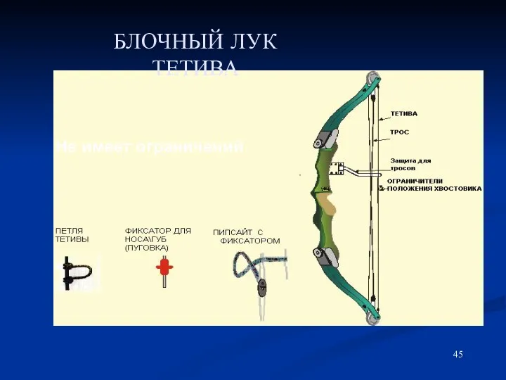 БЛОЧНЫЙ ЛУК ТЕТИВА Не имеет ограничений