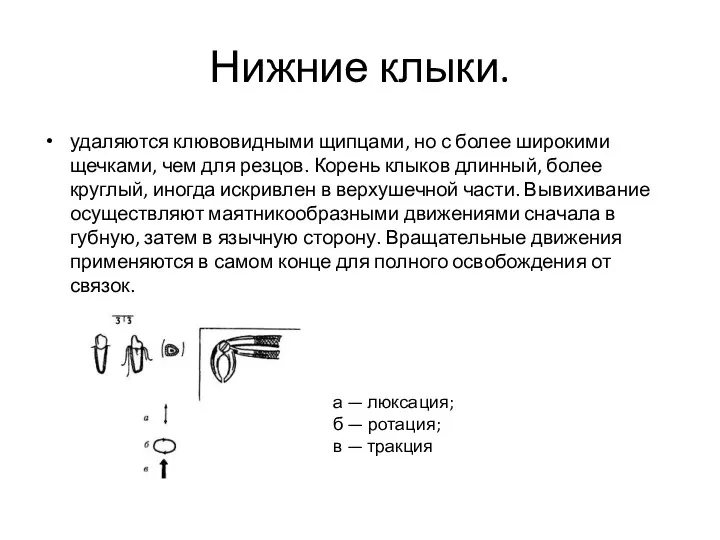 Нижние клыки. удаляются клювовидными щипцами, но с более широкими щечками,