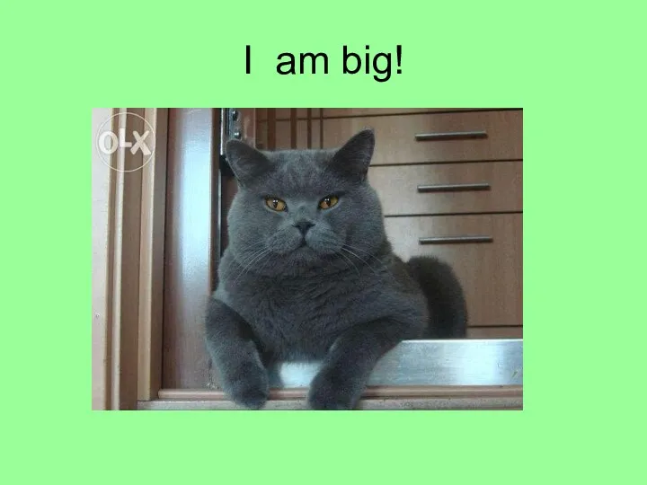 I am big!