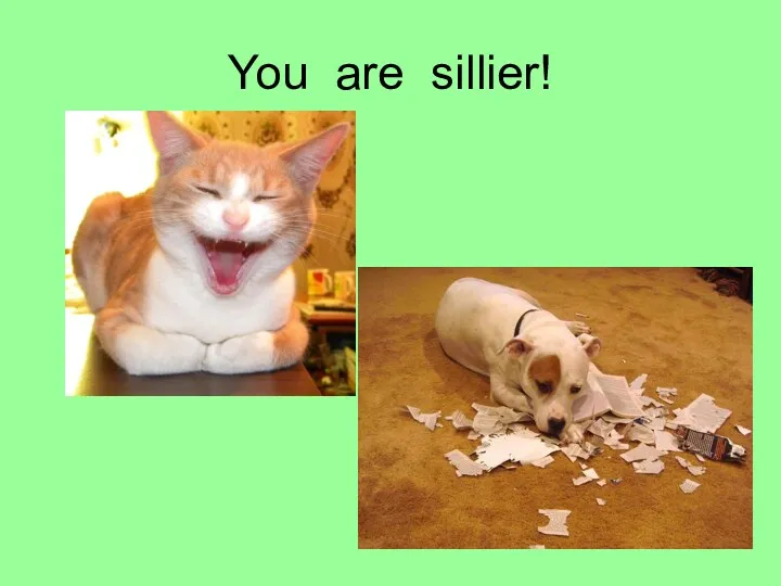 You are sillier!