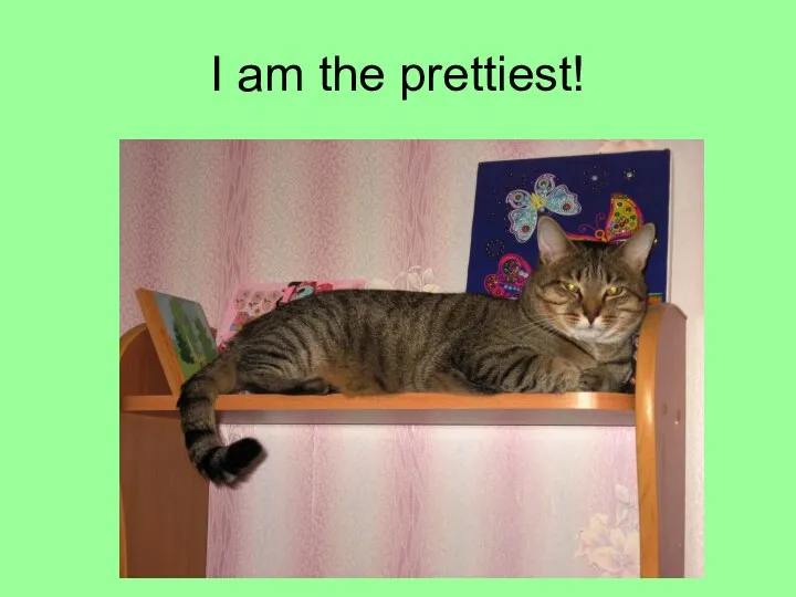 I am the prettiest!