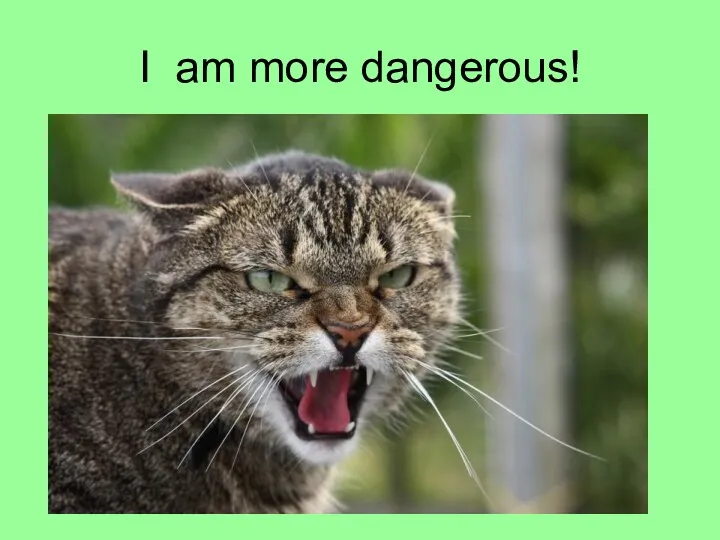 I am more dangerous!