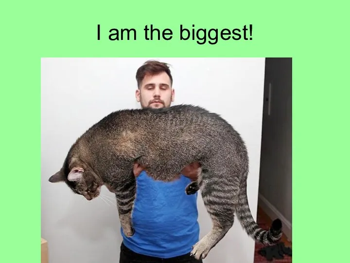 I am the biggest!