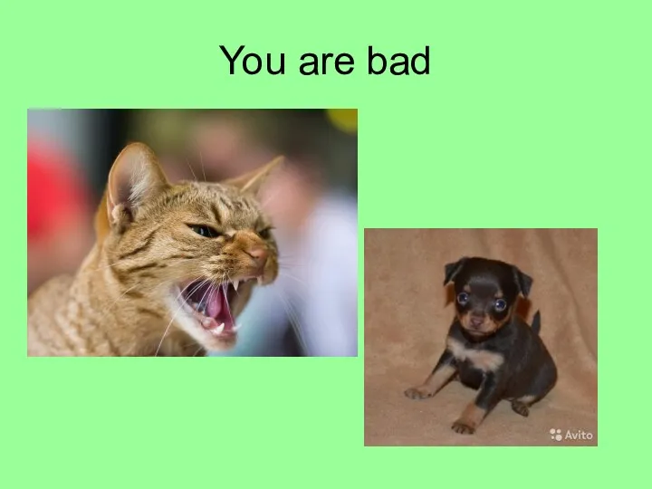 You are bad