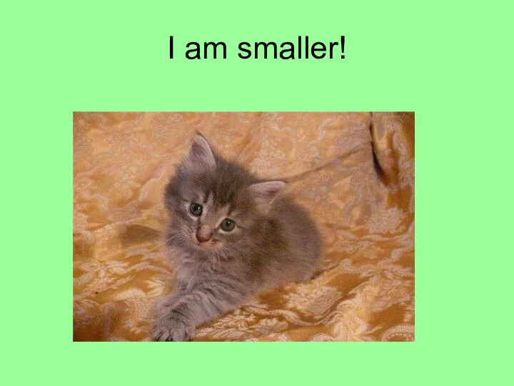 I am smaller!