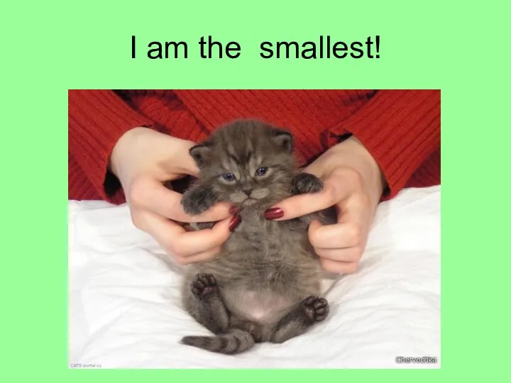 I am the smallest!