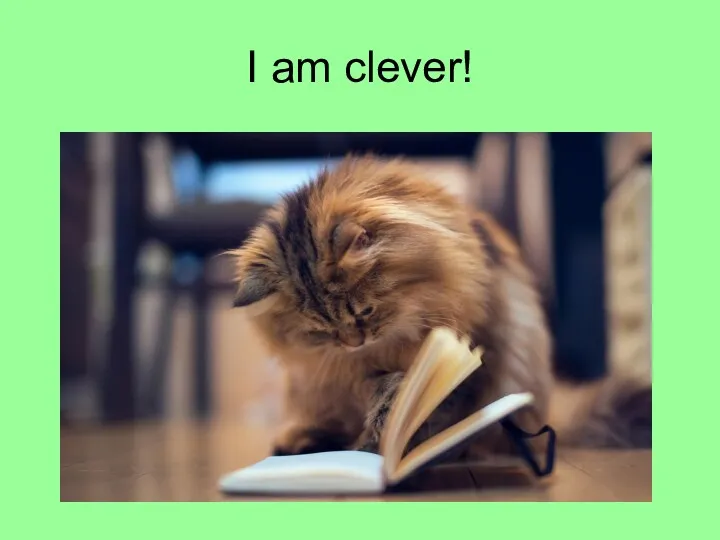 I am сlever!