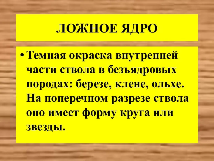 ЛОЖНОЕ ЯДРО Темная окраска внутренней части ствола в безъядровых породах: