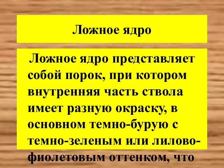 Ложное ядро Ложное ядро представляет собой порок, при котором внутренняя часть ствола имеет