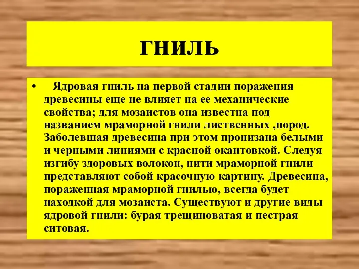 гниль Ядровая гниль на первой стадии поражения древесины еще не