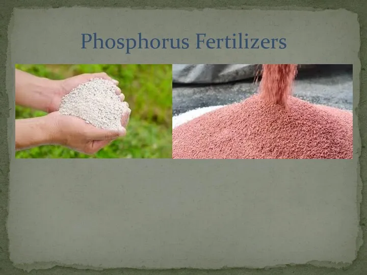 Phosphorus Fertilizers