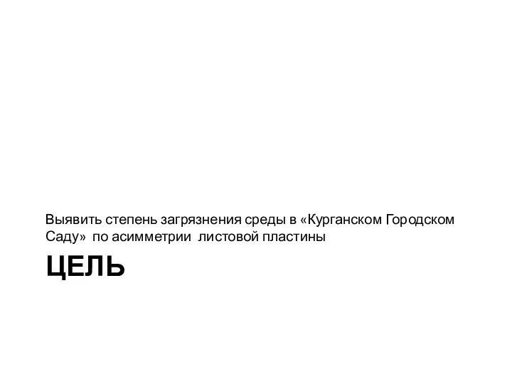 ЦЕЛЬ Выявить степень загрязнения среды в «Курганском Городском Саду» по асимметрии листовой пластины