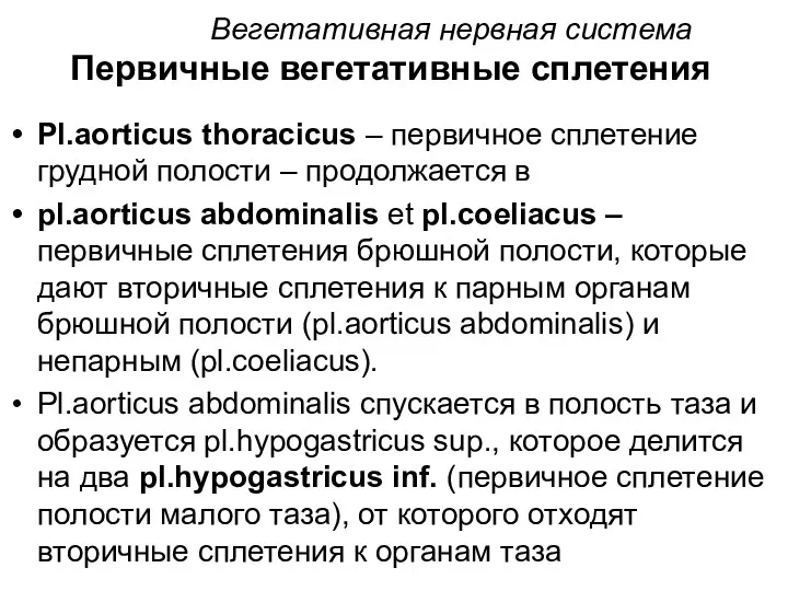 Вегетативная нервная система Первичные вегетативные сплетения Pl.aorticus thoracicus – первичное сплетение грудной полости