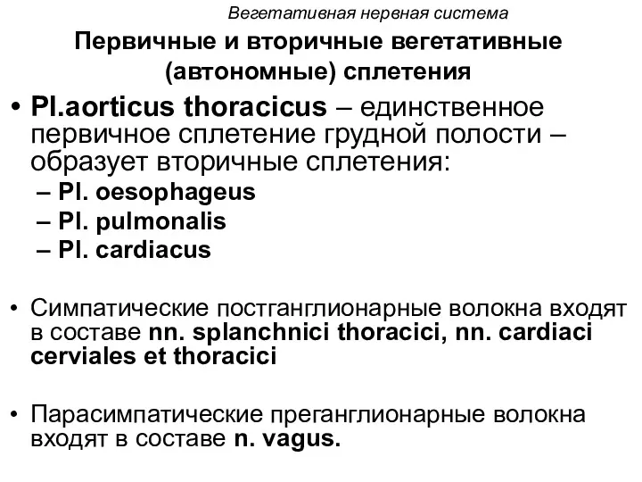 Вегетативная нервная система Первичные и вторичные вегетативные (автономные) сплетения Pl.aorticus thoracicus – единственное