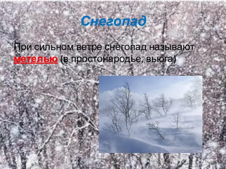 Снегопад При сильном ветре снегопад называют метелью (в простонародье, вьюга)