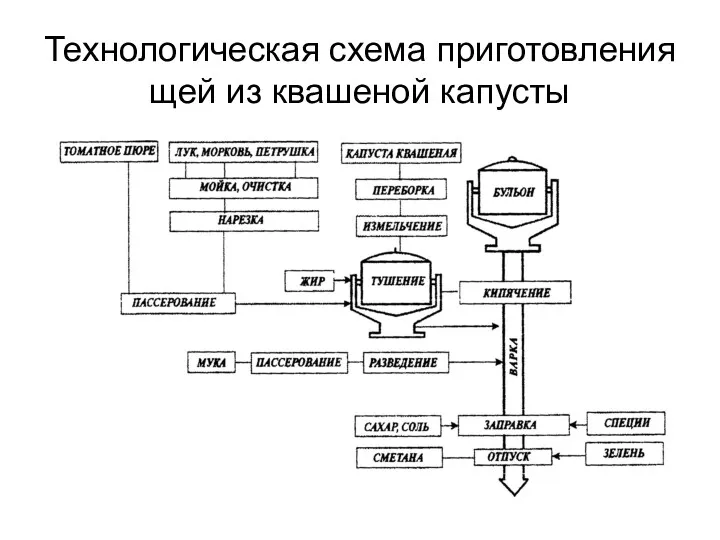 Технологическая схема приготовления щей из квашеной капусты