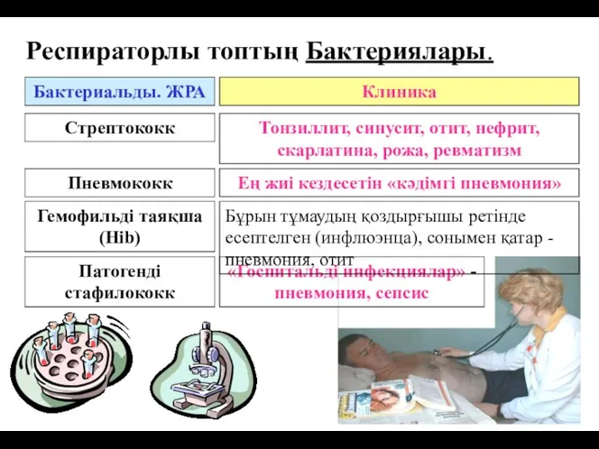 Респираторлы топтың Бактериялары. Бактериальды. ЖРА Клиника Стрептококк Тонзиллит, синусит, отит,