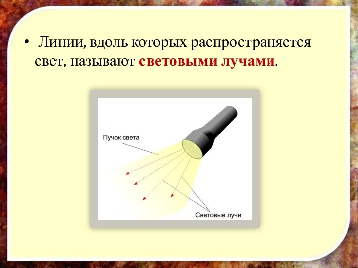 Линии, вдоль которых распространяется свет, называют световыми лучами.